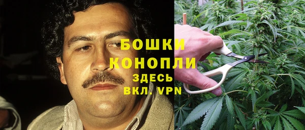 метадон Горняк