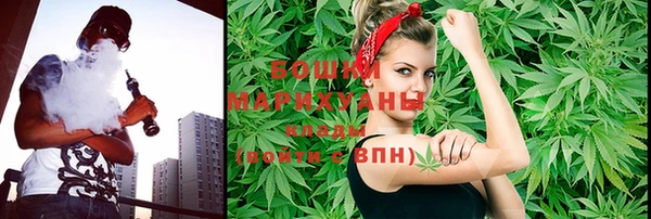 метадон Горняк