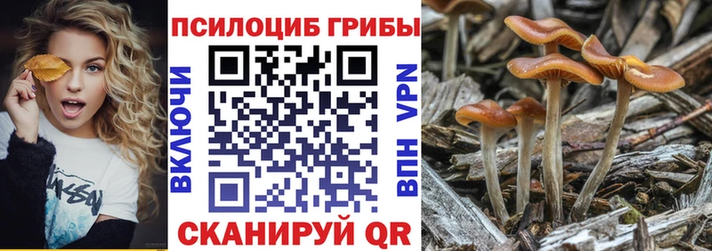 цена наркотик  Дальнереченск  Галлюциногенные грибы Magic Shrooms 